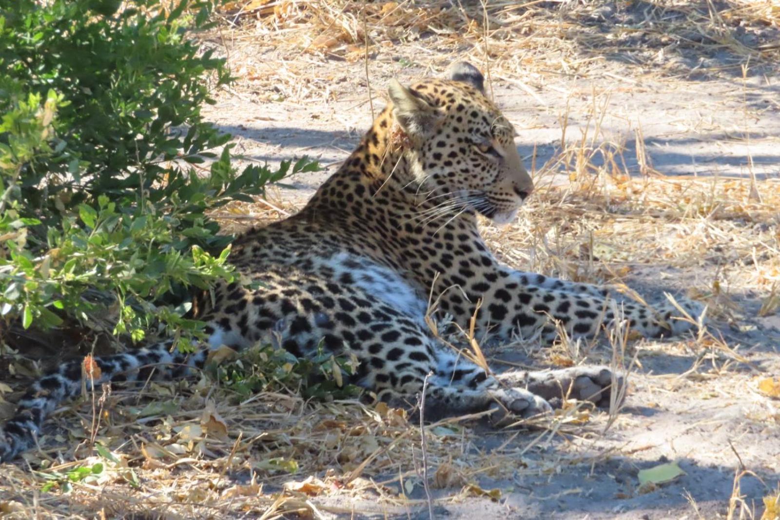 Jayla Homestay Maun ภายนอก รูปภาพ